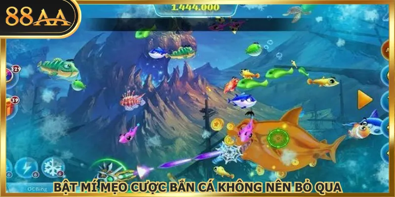 Bật mí mẹo cược bắn cá không nên bỏ qua