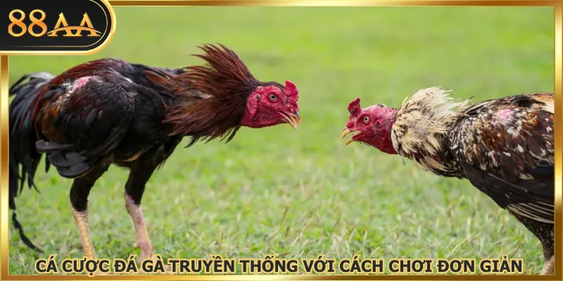 Cá cược đá gà truyền thống với cách chơi đơn giản