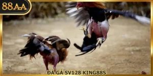 Đá Gà SV128 King88s Sảnh Chọi Kê Đáng Trải Nghiệm Top 1