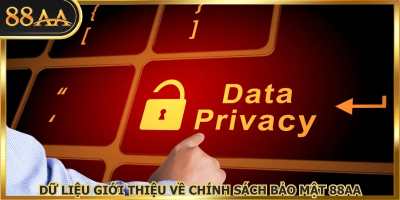 Dữ liệu giới thiệu về chính sách bảo mật 88AA