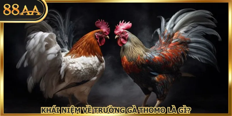 Khái niệm về trường gà Thomo là gì?
